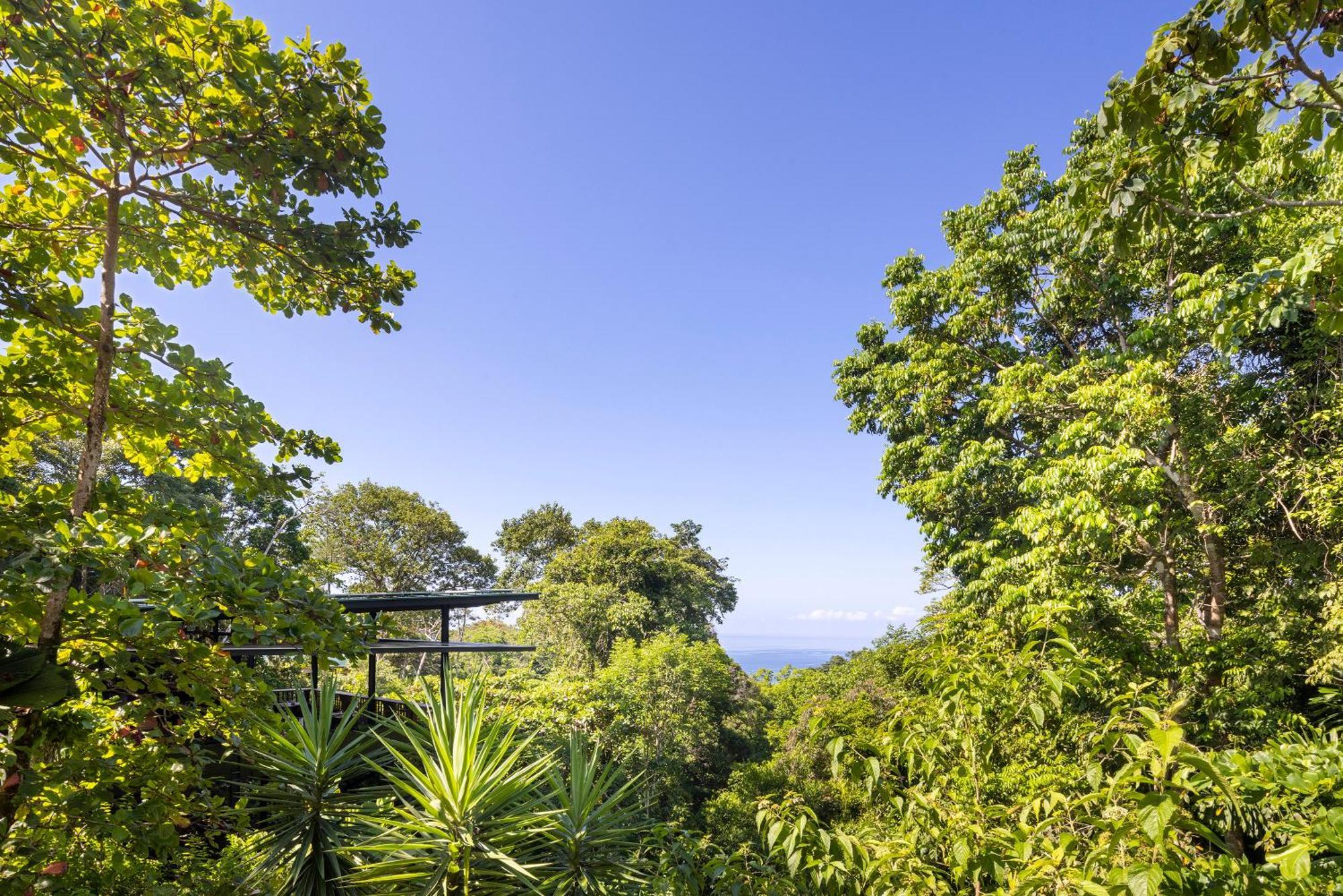 El Remanso Rainforest Lodge Puerto Jiménez エクステリア 写真