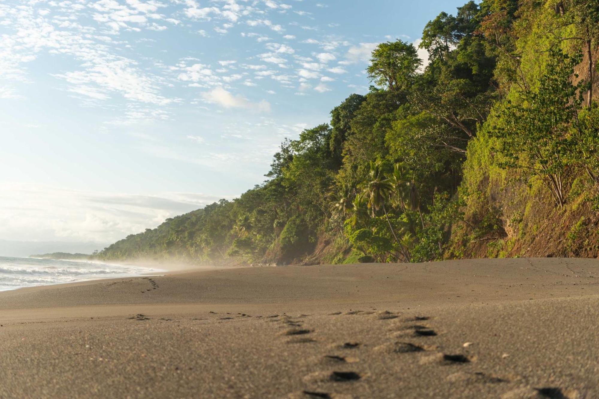 El Remanso Rainforest Lodge Puerto Jiménez エクステリア 写真