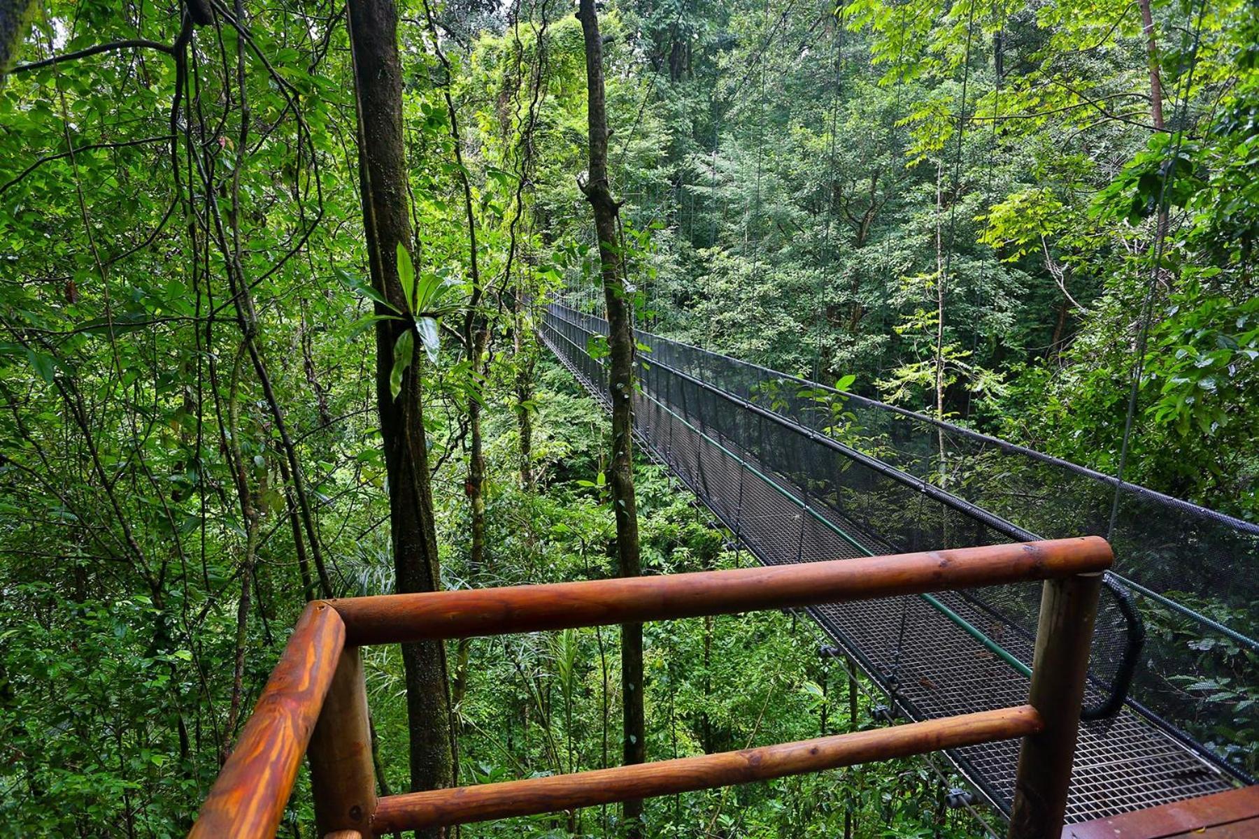 El Remanso Rainforest Lodge Puerto Jiménez エクステリア 写真