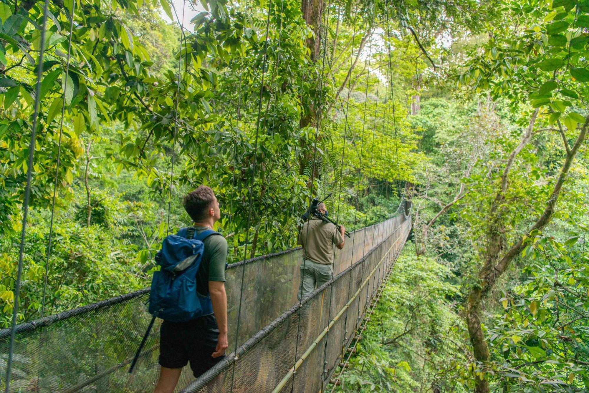 El Remanso Rainforest Lodge Puerto Jiménez エクステリア 写真