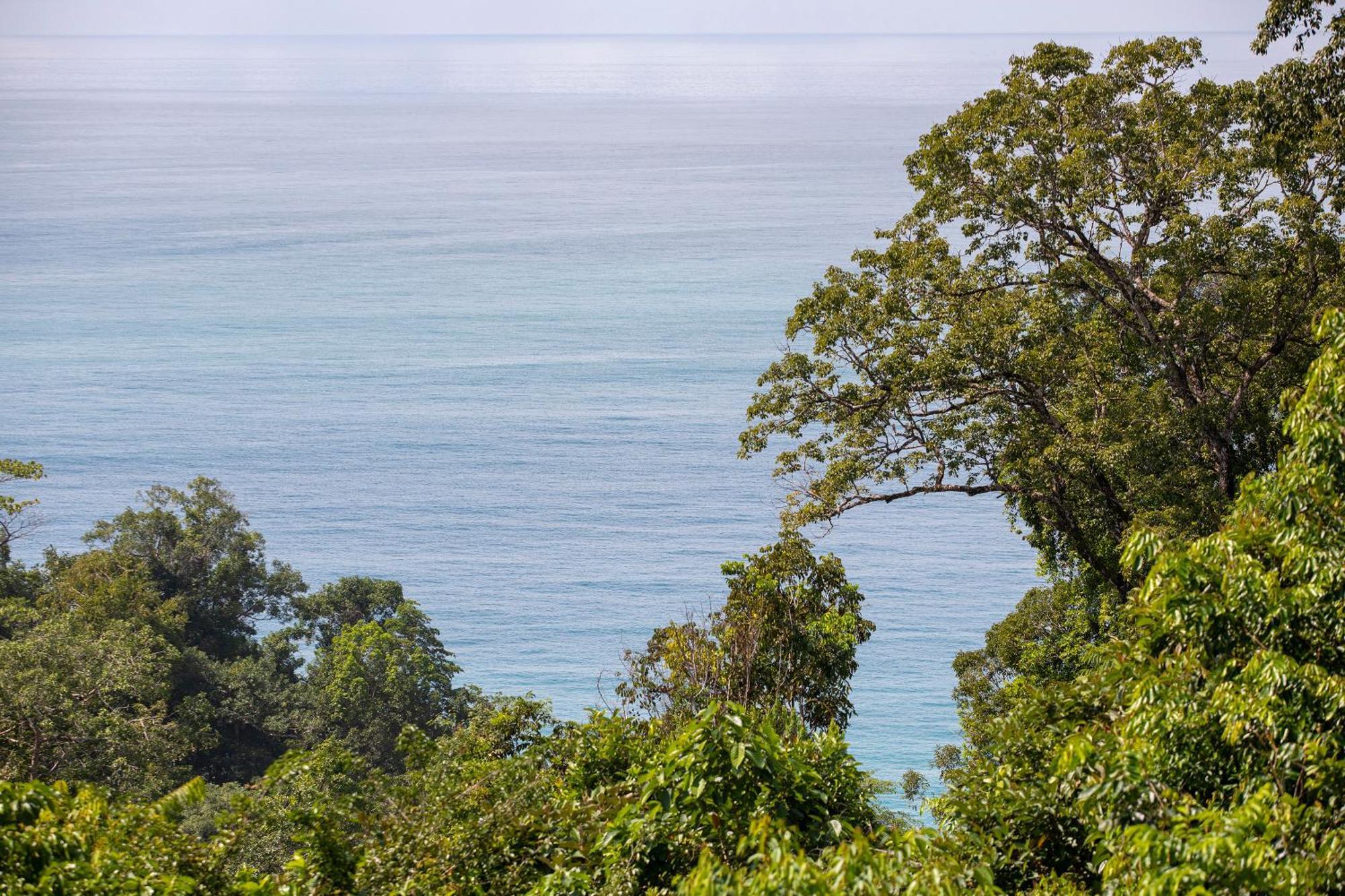 El Remanso Rainforest Lodge Puerto Jiménez エクステリア 写真